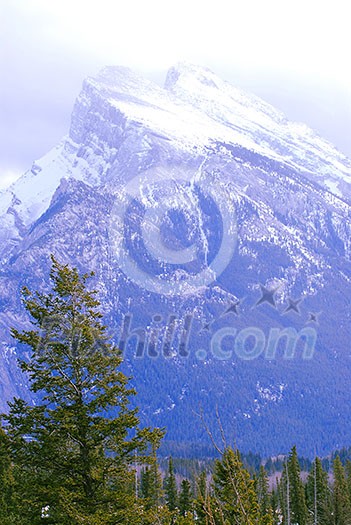 Landscape of high snowy mountains with evegreen trees Landscape of high snowy mountains with evegreen trees