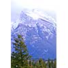 Landscape of high snowy mountains with evegreen trees