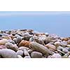 Background of colofrul beach pebbles of different shape and water