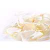 Abstract background of fresh white rose petals