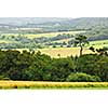 Scenic view on agricultural landscape in rural Brittany, France