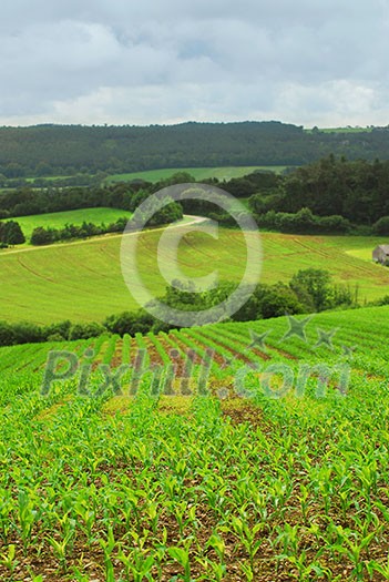 Scenic view on agricultural landscape in rural Brittany, France.