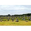 Prehistoric megalithic monuments menhirs in Carnac area in Brittany, France