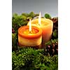 Christmas arrangement of burning candles and green spruce branches