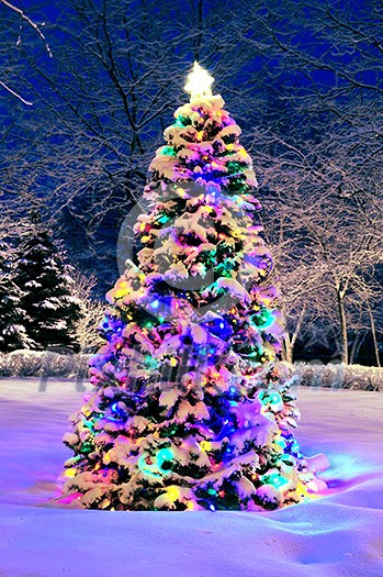 Decorated christmas tree outside with lights covered with snow