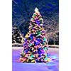 Decorated christmas tree outside with lights covered with snow