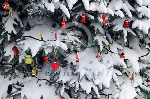 Christmas ornaments hanging on snow covered spruce tree outside