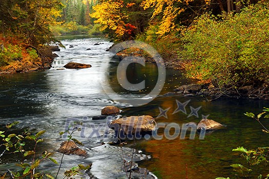 Forest river in the fall. Algonquin provincial park, Canada.