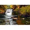 Forest river in the fall. Algonquin provincial park, Canada.