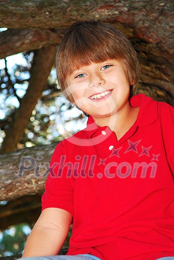 Young boy sitting on a tree branch in summer park Young boy sitting on a tree branch in summer park