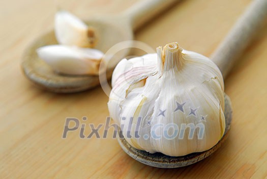 Bulbs and cloves of garlic on wooden cooking spoons