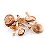 Several shiitake mushrooms isolated on white background