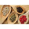 Four kinds of peppercorns in wooden cooking spoons