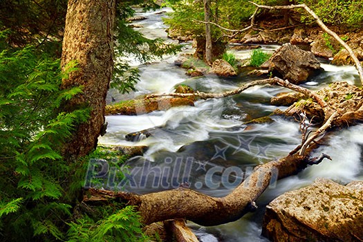 Rocky river rapids in wilderness in Ontario, Canada