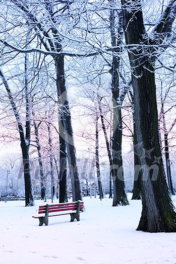 Winter park covered with snow at dusk. Beach area, Toronto, Canada. Winter park covered with snow at dusk. Beach area, Toronto, Canada.