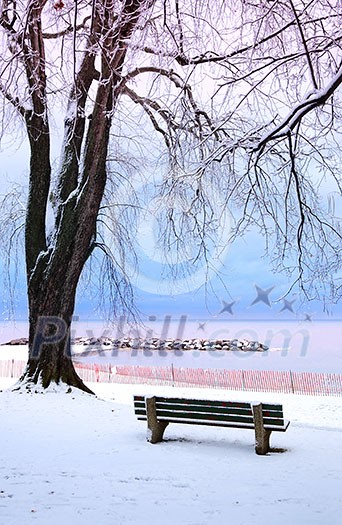 Winter park with a bench covered with snow. Beach area, Toronto, Canada.