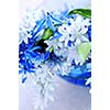 Blue bouquet of first spring flowers closeup