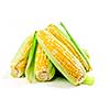 Ears of fresh corn isolated on white background