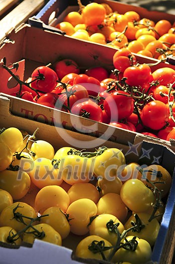 Colorful tomatoes for sale on farmer's market