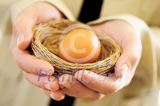 Hands of a woman holding a nest with an egg Hands of a woman holding a nest with an egg