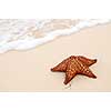 Starfish and ocean wave on sandy tropical beach 