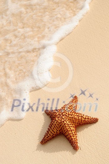 Starfish and ocean wave on sandy tropical beach Starfish and ocean wave on sandy tropical beach