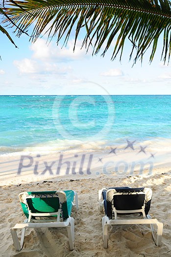 Two beach chairs under a palm tree on the ocean shore in tropical resort