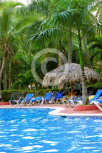 Swimming pool and palm trees at tropical resort Swimming pool and palm trees at tropical resort