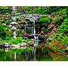 Cascading waterfall and pond in japanese garden