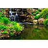 Cascading waterfall and pond in japanese garden