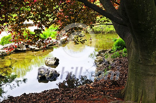 Pond with natural stones in japanese zen garden Pond with natural stones in japanese zen garden