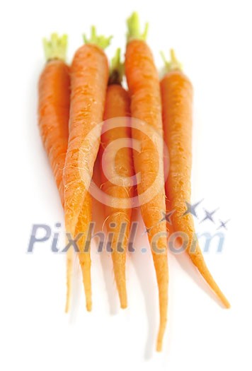 Several fresh carrots isolated on white background