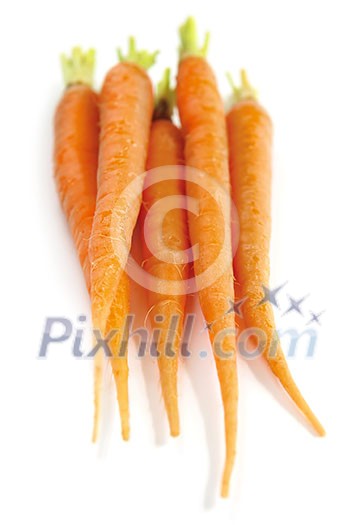 Several fresh carrots isolated on white background Several fresh carrots isolated on white background