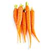 Several fresh carrots isolated on white background