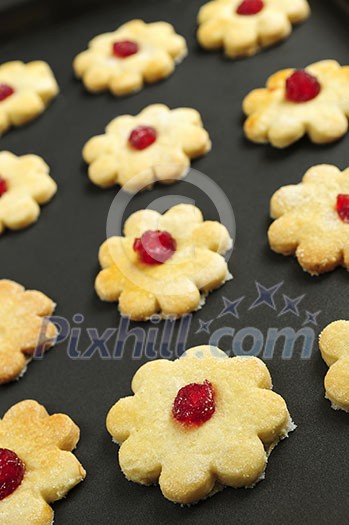 Fresh shortbread cookies on a baking tray Fresh shortbread cookies on a baking tray