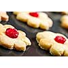 Fresh shortbread cookies on a baking tray