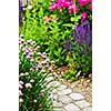 Lush blooming summer garden with paved path