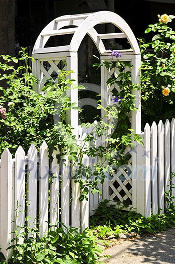 White arbor with blooming roses in a garden