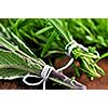 Bunches of assorted fresh herbs close up on wooden cutting board