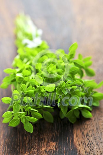 Bunch of fresh herb oregano close up on wooden cutting board