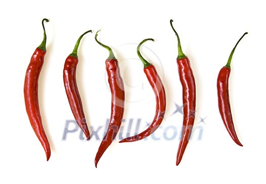 Red hot chili peppers isolated on white background