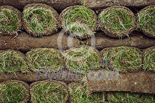 Stack of rolled grass sod or turf for lawns and landscaping