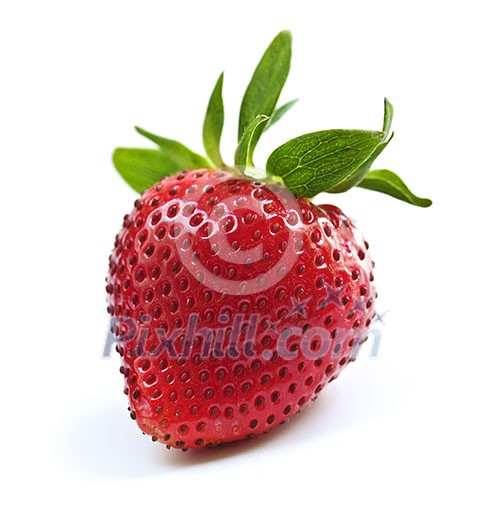 Single fresh strawberry isolated on white background