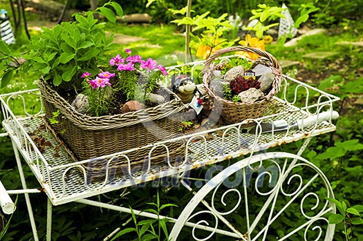 Flower cart with two baskets in summer garden Flower cart with two baskets in summer garden