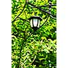 Wrought iron arbor with lantern in lush green garden