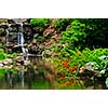 Cascading waterfall and pond in japanese garden