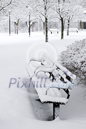Winter park covered with fresh white snow