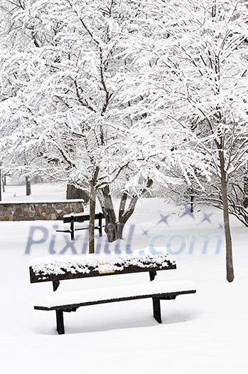 Winter park landscape with bench under the snow