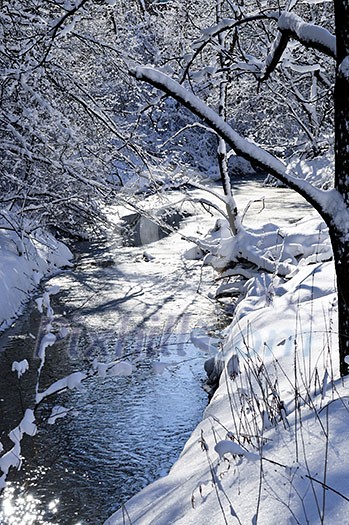 Winter landscape with snow covered trees and river Winter landscape with snow covered trees and river
