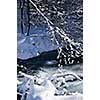 Winter landscape with snow covered trees and river